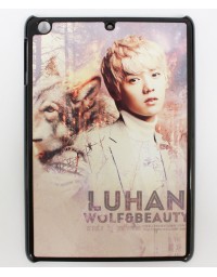 Apple Ipad Mini 2 Case